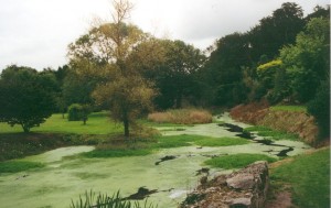 irl1999 blarney castle 4